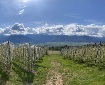 La Val di Non in fiore